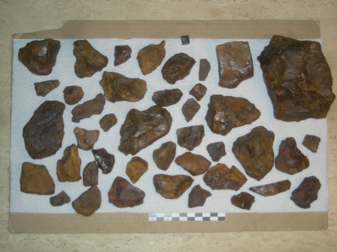 METEORITES INCONNUES OU ROCHES MARTIENNES