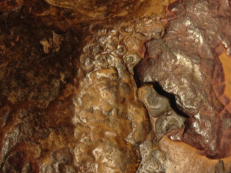 METEORITE INCONNUE OU ROCHE MARTIENNE